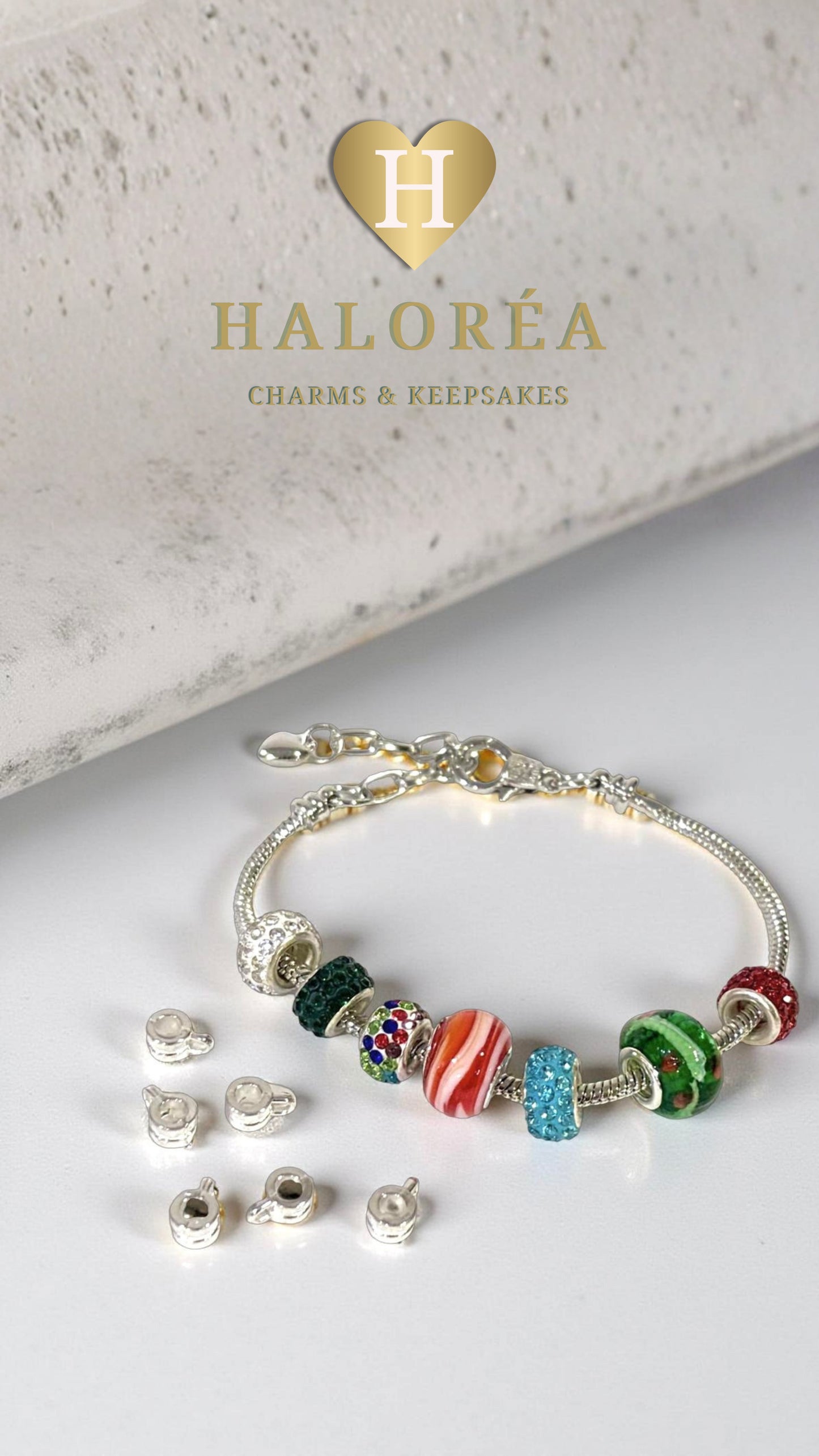 Haloréa Classic Charm Bracelet Starter Set