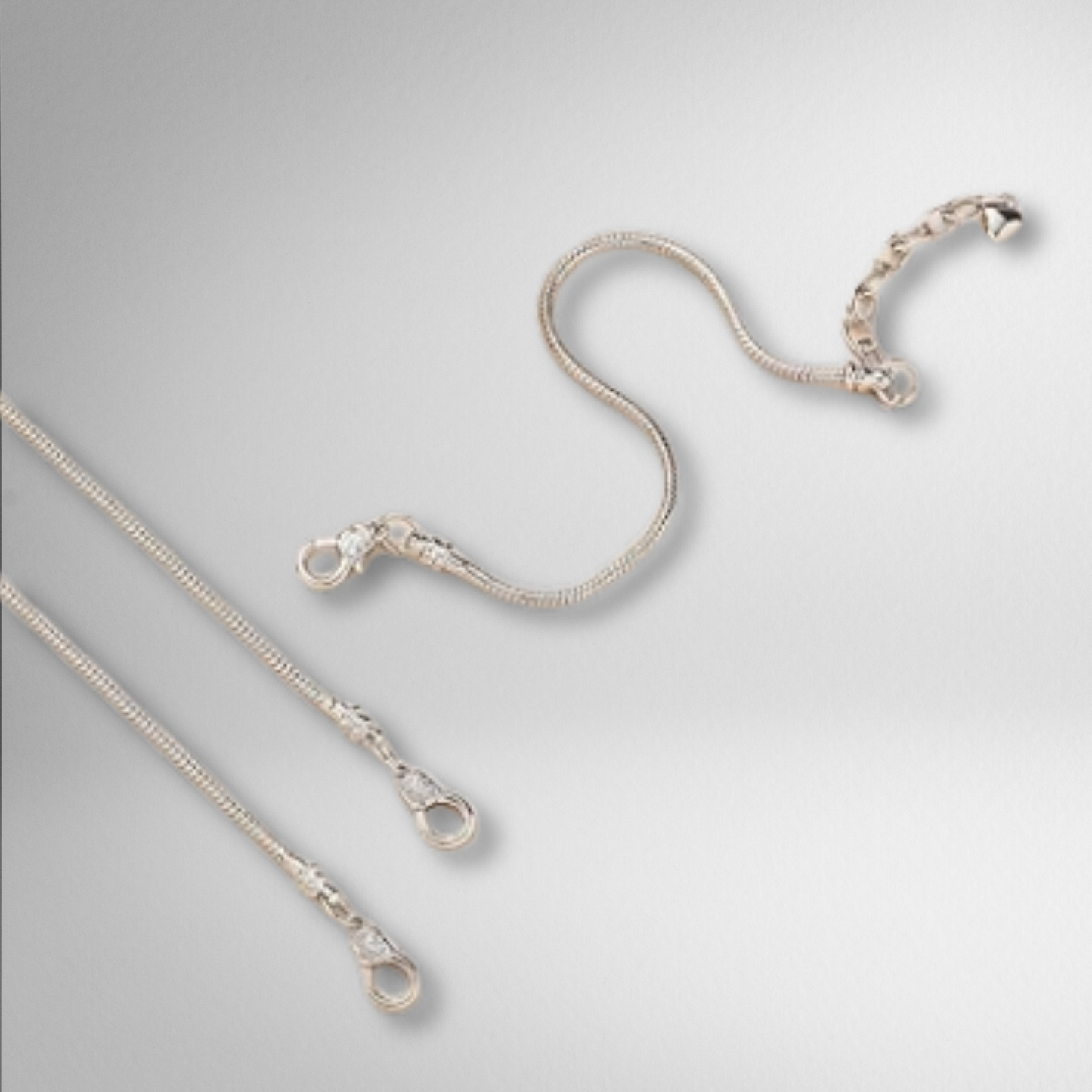 Haloréa Classic Charm Bracelet Starter Set